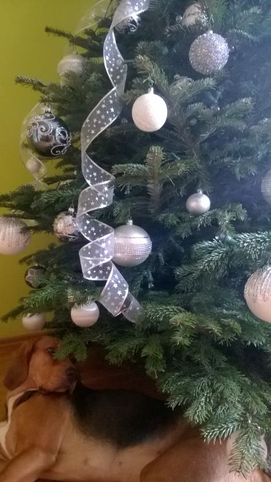 WP_20171228_10_08_43_Pro.jpg