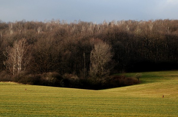 n4.JPG