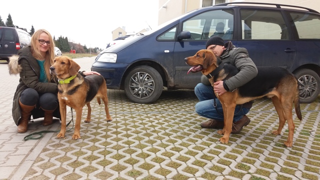 TarPan Leśne Bytowanie FCI urodzinki (3).jpg