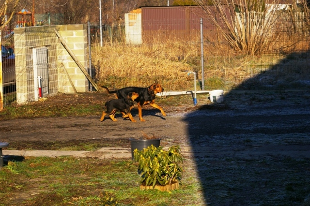 Mama (Poziomka) z Bohunem