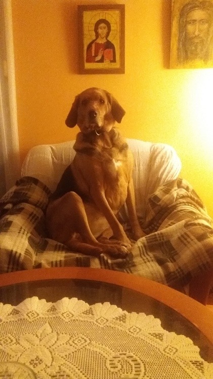 Herunia 03,01.2018.jpeg