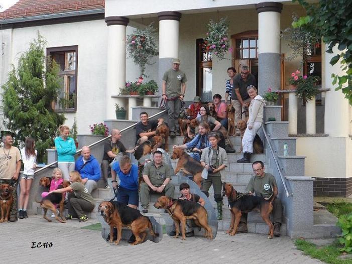 Grupowe kombinowane.