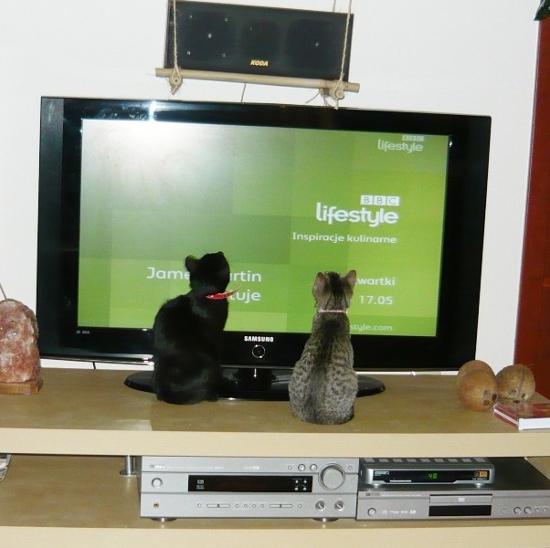 P1000107.jpg