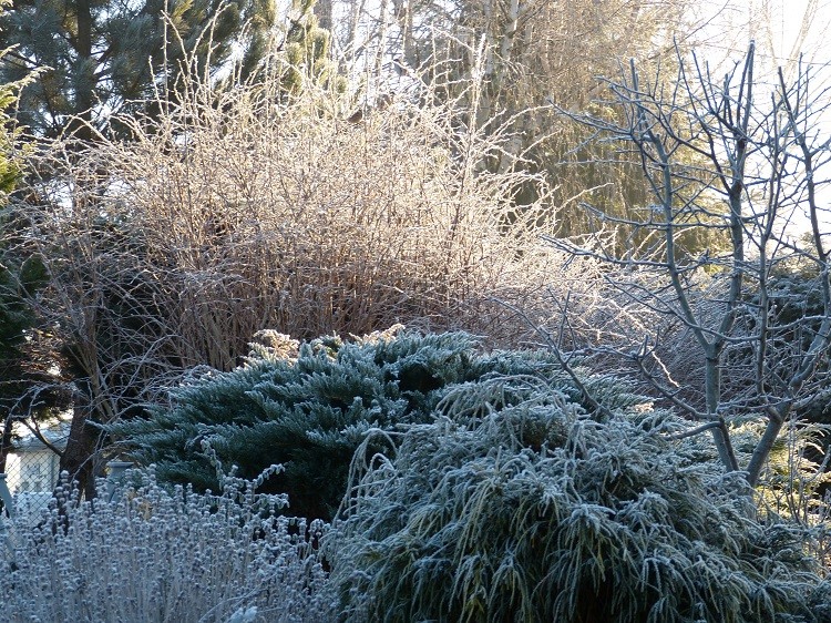 P1070774.JPG