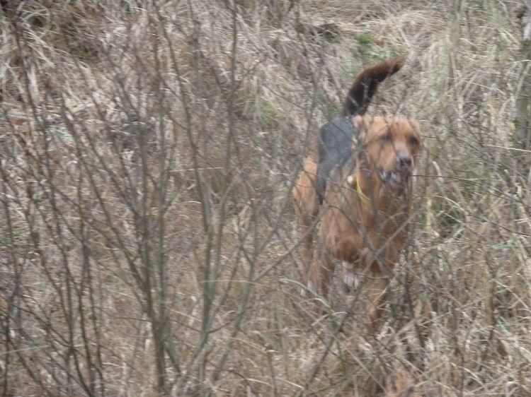 P1070120zm.JPG