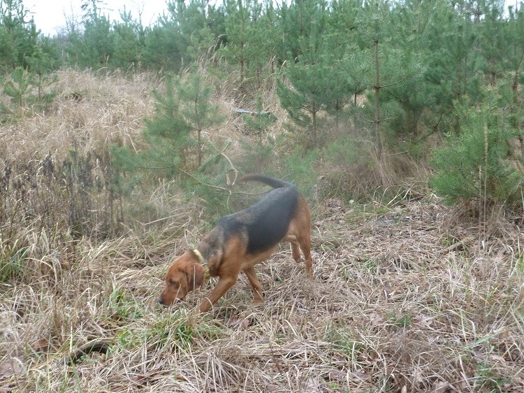 P1070123zm.JPG