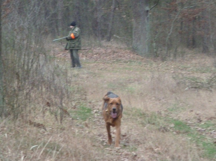 P1070125zm.JPG