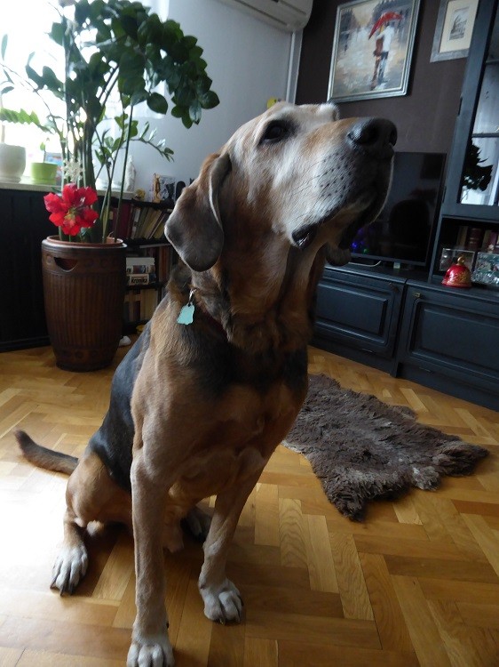 P1010280.jpg