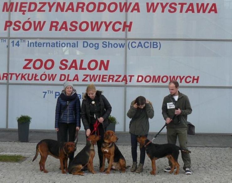Asi, Ari, Husarz i Zadzior