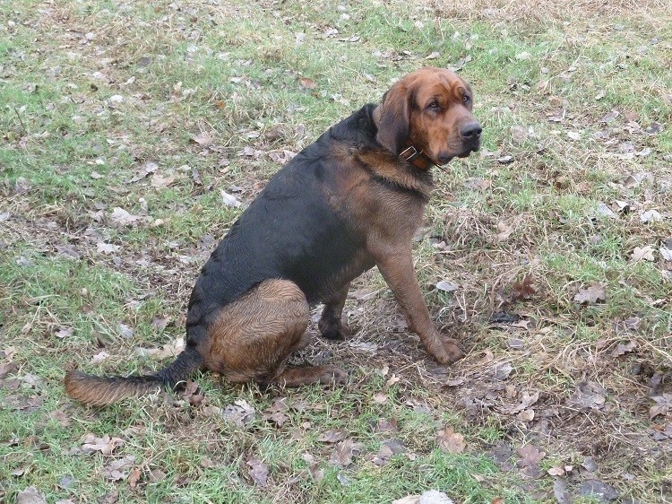 trochę zmęczony