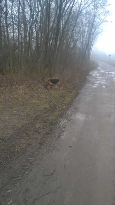 WP_20180127_12_16_13_Pro.jpg