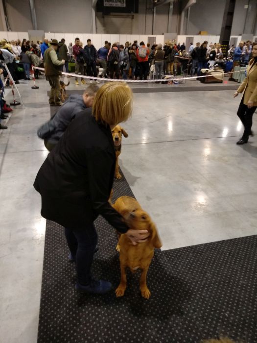 RONJA