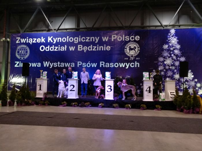 IMG_20180128_171051.jpg