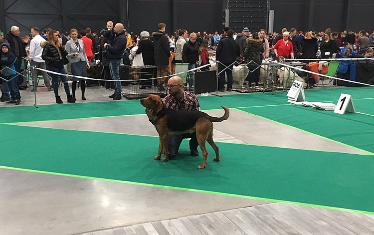 KAJKO.JPG
