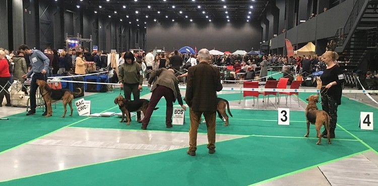 na lokatach ONDRASZEK FERI BACHU ACANKA.JPG