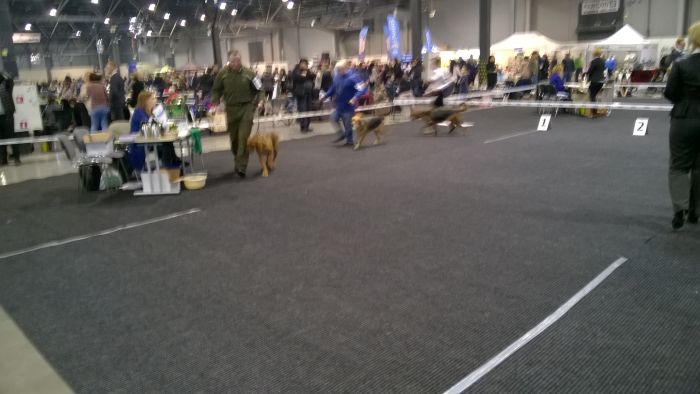 WP_20180211_10_39_46_Pro.jpg