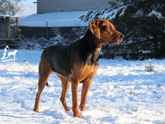 ROZA_001.jpg