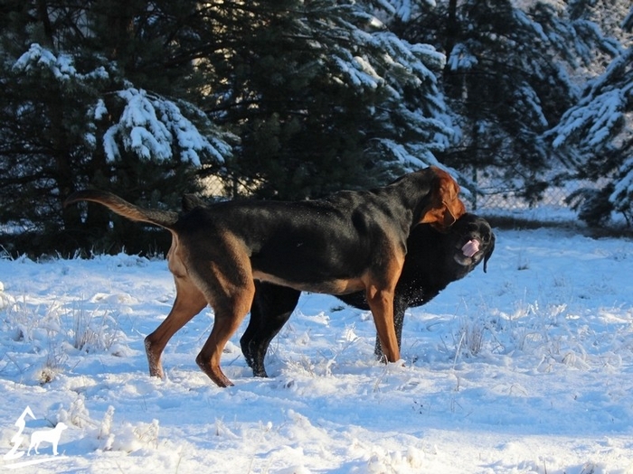 ROZA_004.jpg
