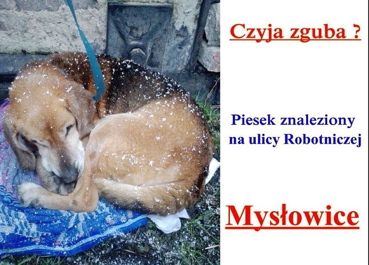 Przechwytywanie.JPG