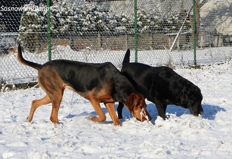 ziomowo_002.jpg