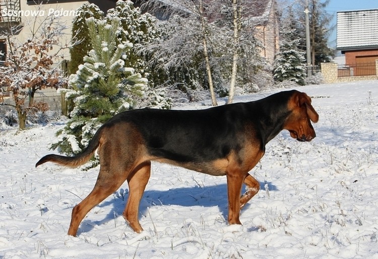 ziomowo_003.jpg