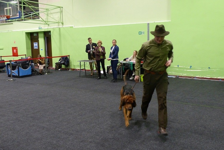 P1100686zm.JPG