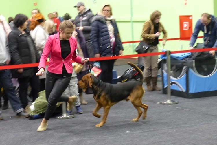 P1100694zm.JPG