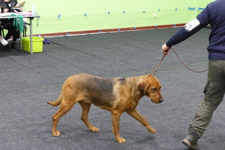 P1100737zm.JPG