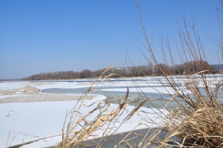 DSC_0083.BL. JPG.jpg