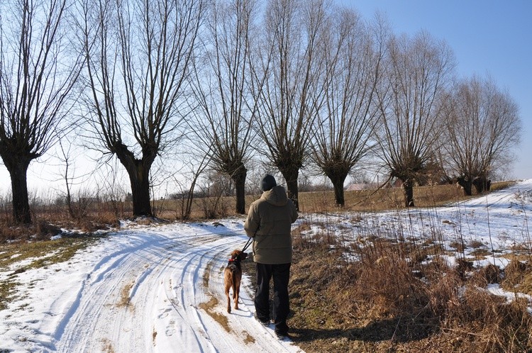 DSC_0004.BL. JPG.jpg