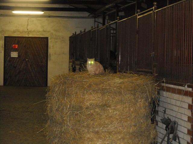 DSCF5069.JPG