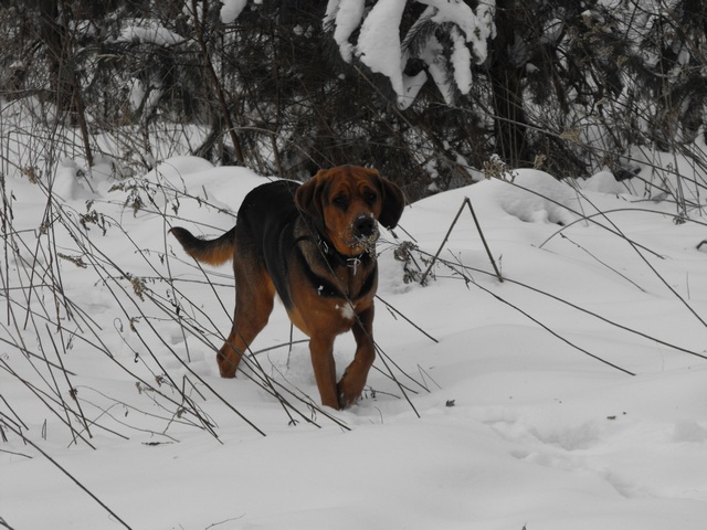 DSCF5090.JPG
