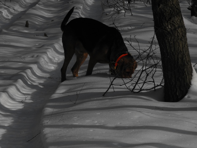 DSCF5148.JPG