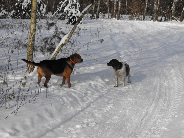 DSCF5149.JPG