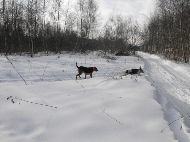 DSCF5151.JPG