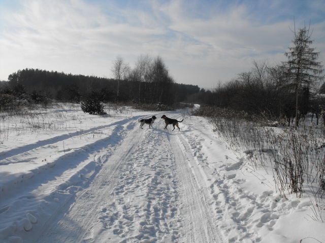 DSCF5156.JPG