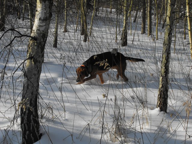 DSCF5161.JPG