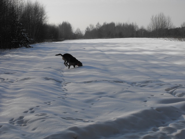 DSCF5167.JPG