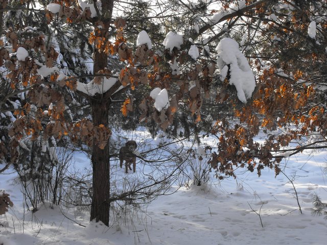 DSCF5171.JPG