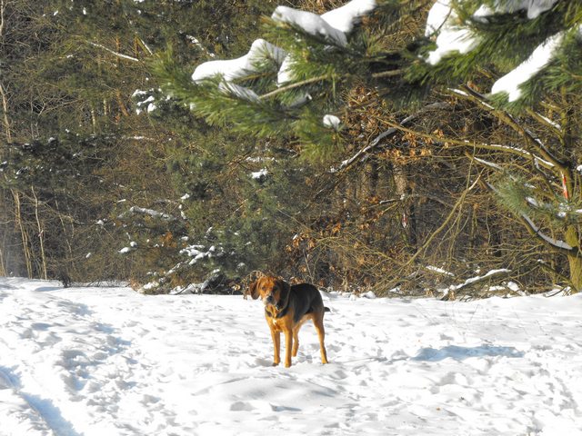 DSCF5174.JPG