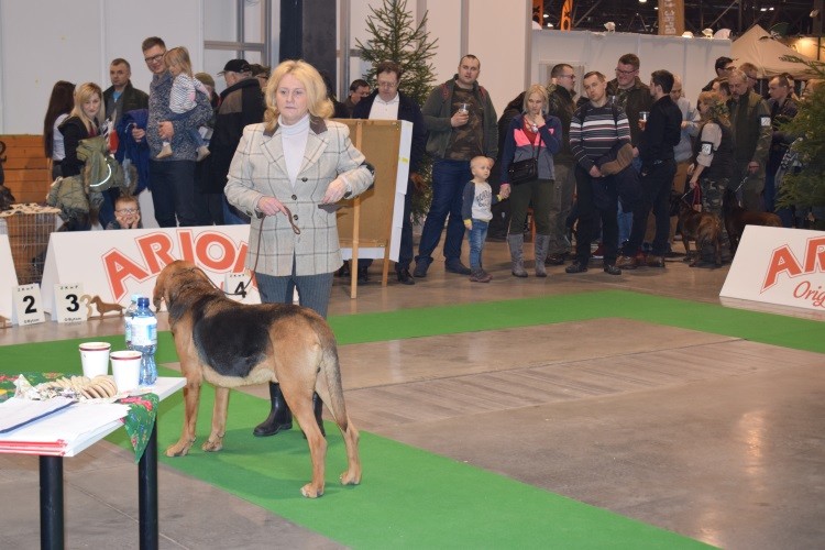 5_PUSZKAR _NA RINGU.jpg