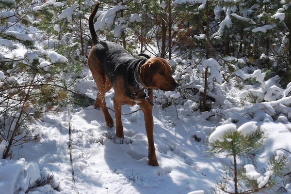 DSC_0273.JPG