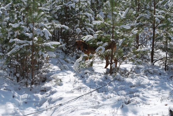 DSC_0279.JPG