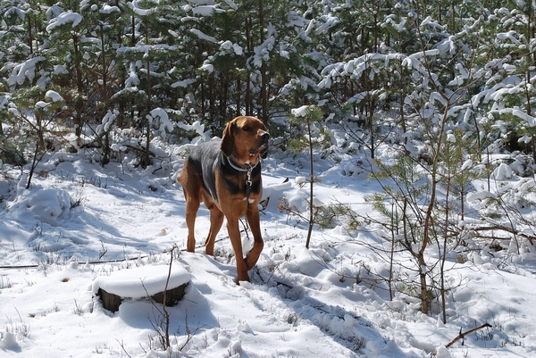 DSC_0283.JPG