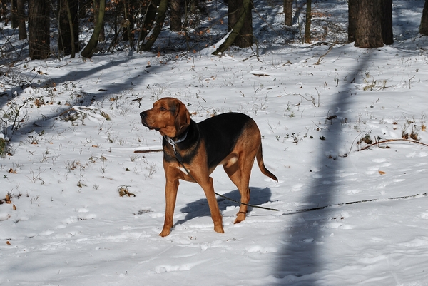 DSC_0243.JPG