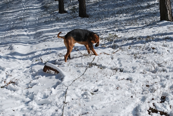 DSC_0294.JPG