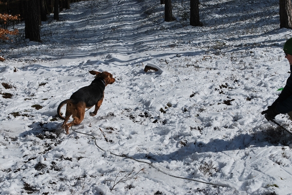 DSC_0334.JPG