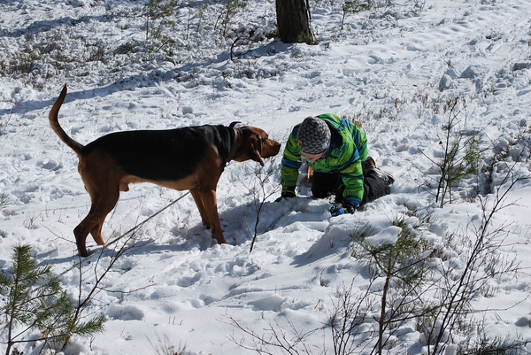 DSC_0353.JPG