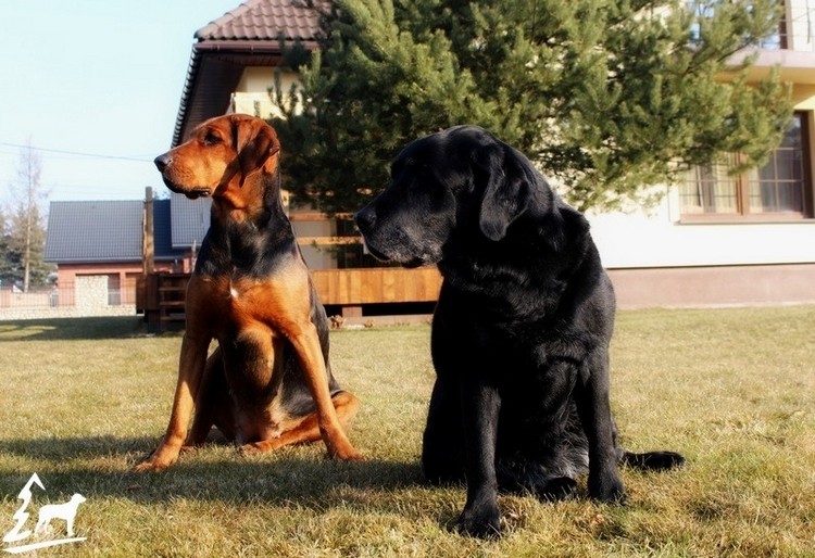 mamuska_02.jpg
