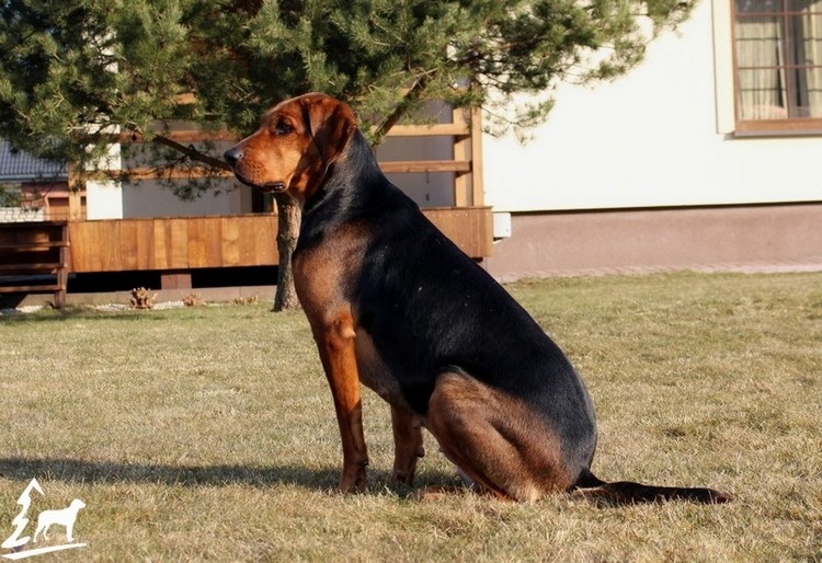 mamuska_04.jpg